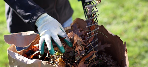 戴着手套的手把落叶从耙尖上拉下来，扔进堆肥箱