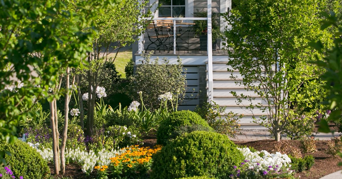 Southern Living Idea House landscaped with Baby Gem Boxwood and annual color