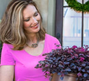 女人在粉红色衬衫拿紫色的白日梦Loropetalum 2加仑植物在棕色塑料南方生活植物收集罐爱游戏体育官网注册