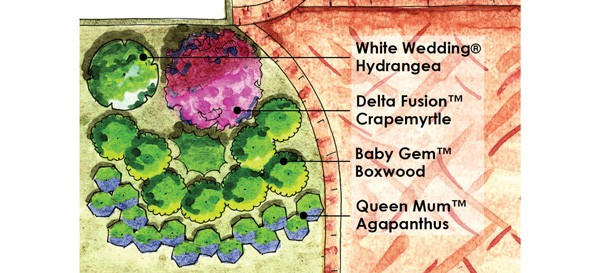 Delta Fusion™紫薇的大胆颜色为入口爱游戏在线登入花园增添了活力。