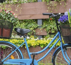蓝色自行车前面的户外墙景观
