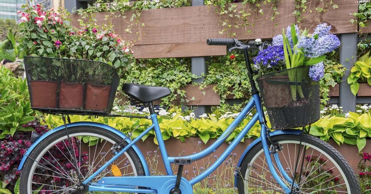 蓝色自行车在户外墙前的景观