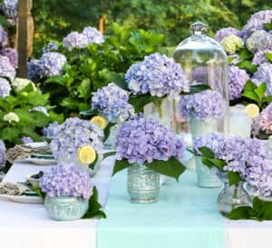 爱游戏在线登入用白色桌布、蓝色桌布和玻璃器皿装饰的花园餐桌