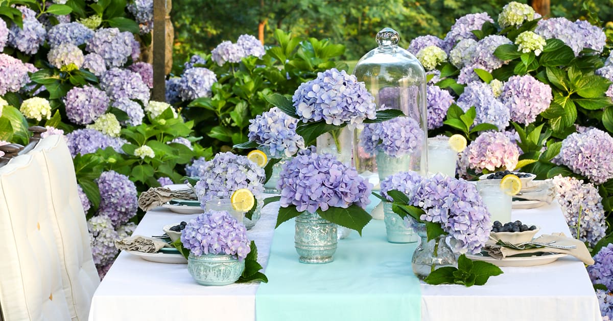 爱游戏在线登入花园桌套晚餐与白色桌布，蓝色桌布和玻璃器皿