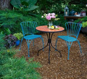 2 blue metal scroll chairs with matching table in a garden of Soft Caress Mahonia