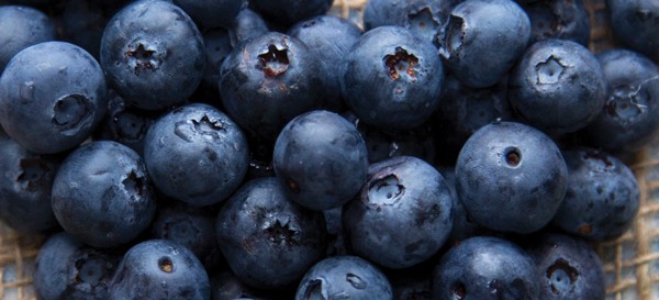 两种都种上几种，结果会更多。对于异花授粉，蓝莓需要与另一种同时开花的品种种植。我们已经为您做了配对。祝福你的心™和拿蛋糕™是两个品种，当一起种植时，会有更大的收获。