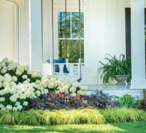 爱游戏体育官网注册南方家庭景观包括白色婚礼绣球花和Everillo Carex来自南方生活