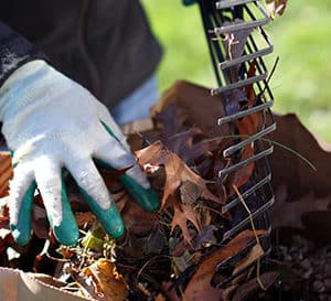 戴着手套的手把落叶从耙尖上拉下来，扔进堆肥箱