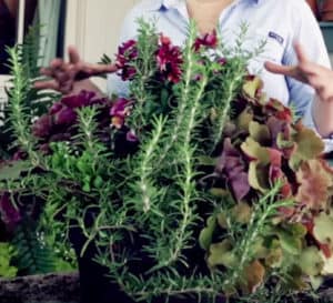 如何为你的露台餐桌种植一个容器花园爱游戏在线登入