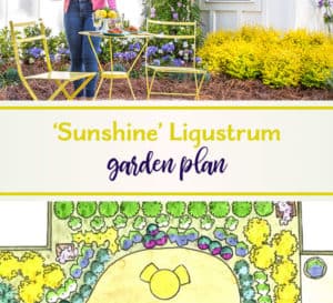 阳光Ligustrum花园计划关闭爱游戏在线登入