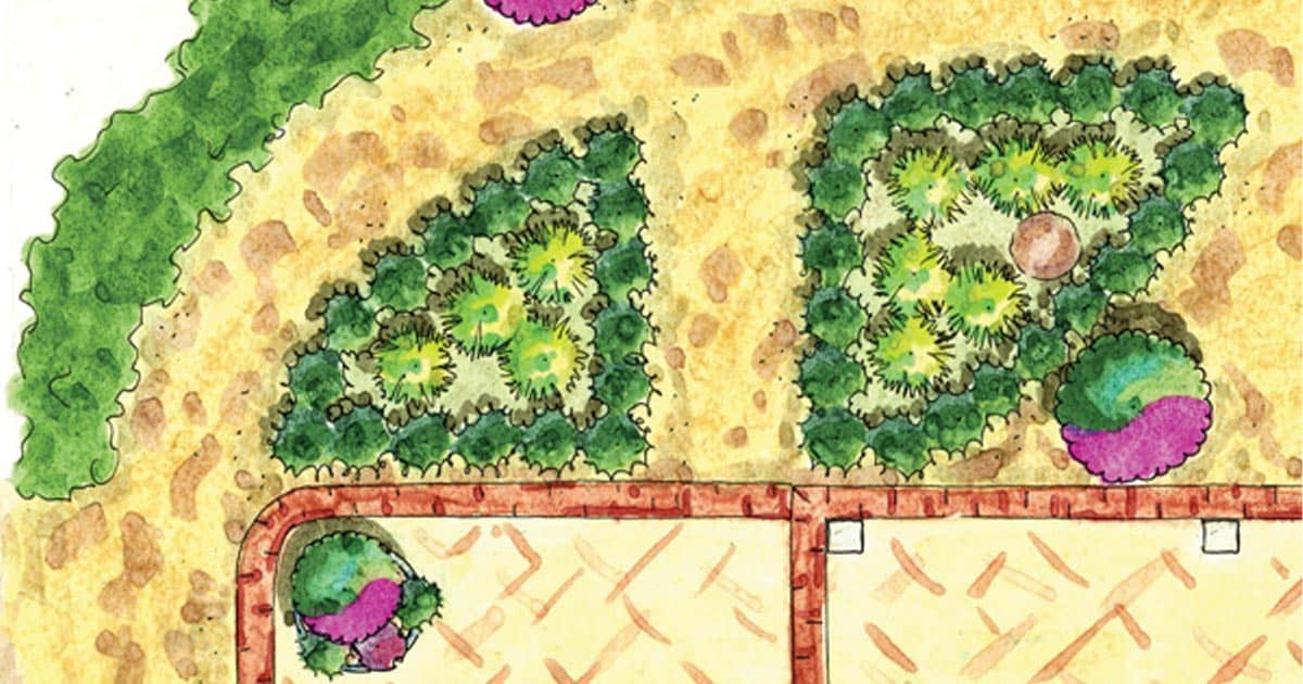 爱游戏在线登入来自Southern Living爱游戏体育官网注册的花园计划包括常绿灌木、水果和浆果植物爱游戏体育官网入口app